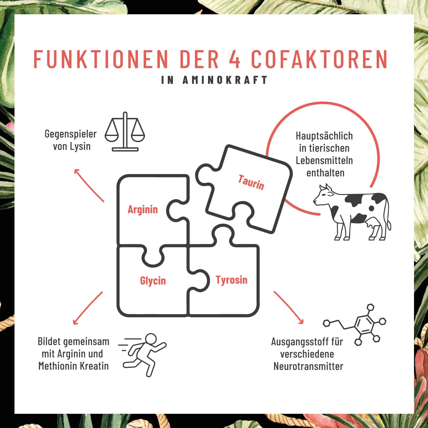 Aminokraft: Aminosäuren-Komplex - Image 6