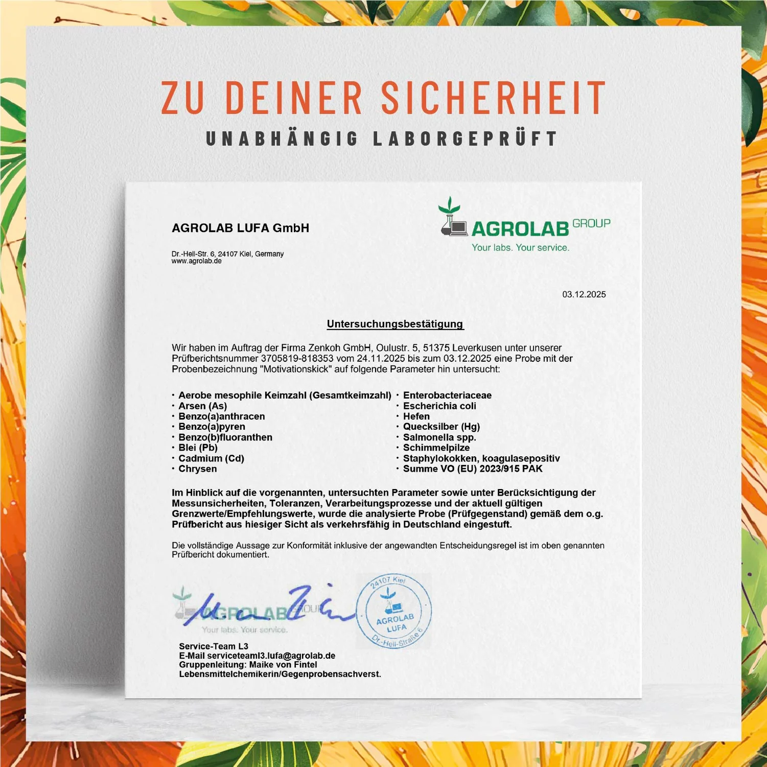 Motivationskick: L-Tyrosin-Komplex mit L-Tryptophan & L-Phenylalanin - Image 8