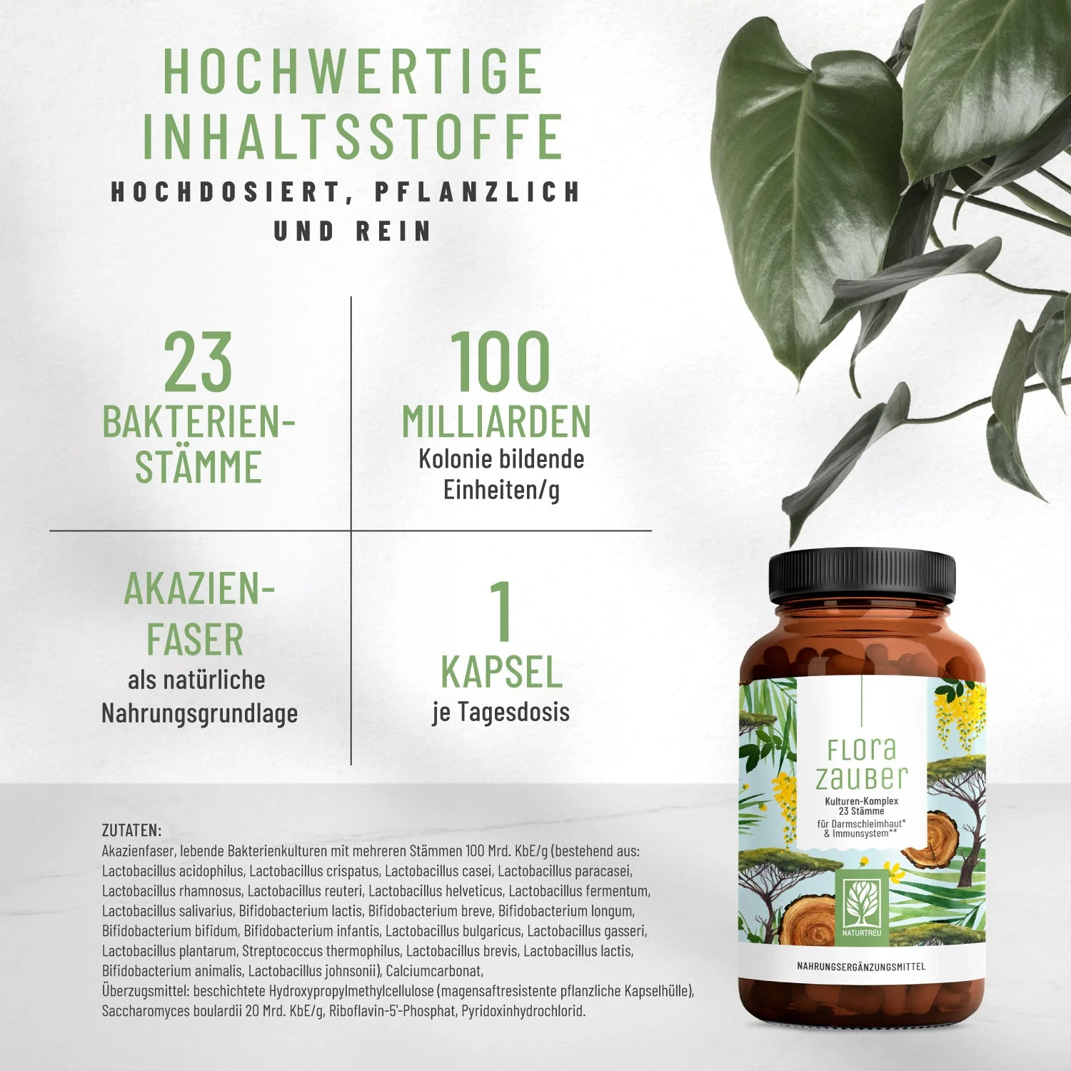 FLORA-KUR Paket - Image 3
