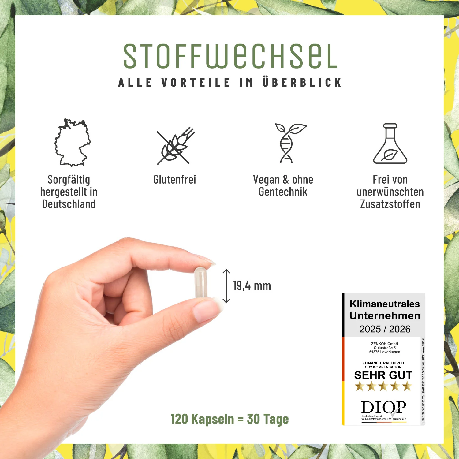 Stoffwechsel: Metabolismus-Komplex für Stoffwechsel* und Blutzuckerspiegel** - Image 7