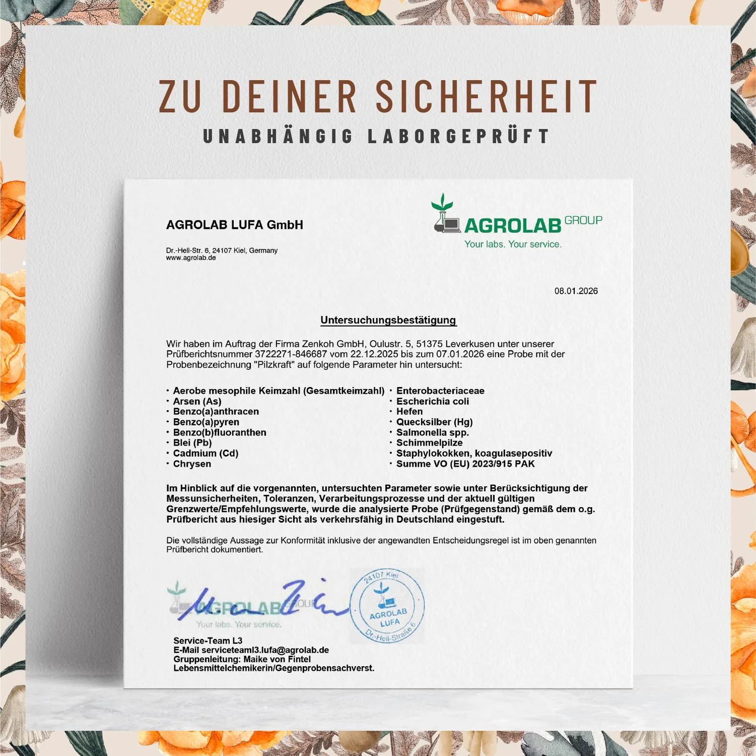 Pilzkraft: Reishi, Shiitake, Chaga & Löwenmähne  - Image 9