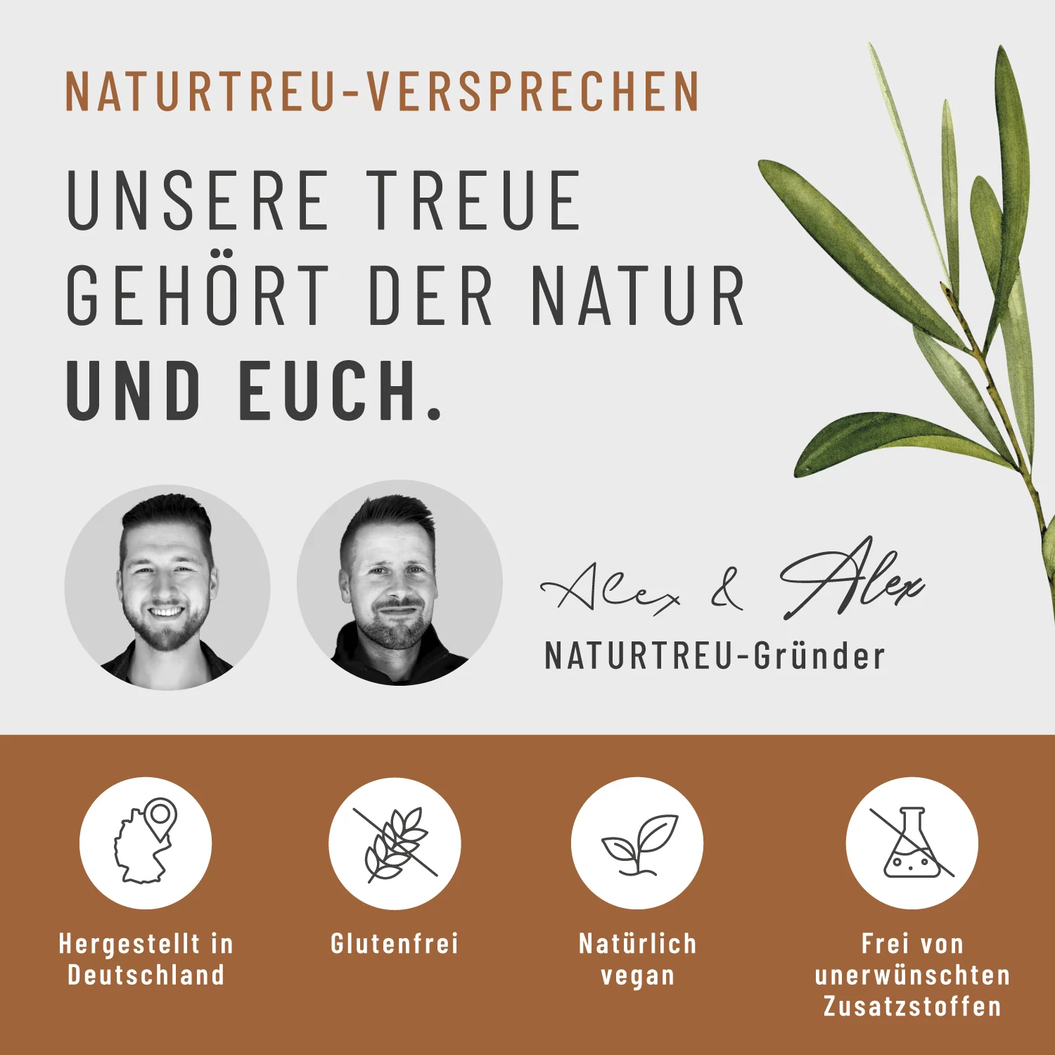 Pilzkaffee: Löwenmähne, Chaga, Reishi & Cordyceps - Image 8